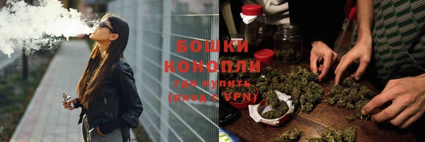 spice Верея