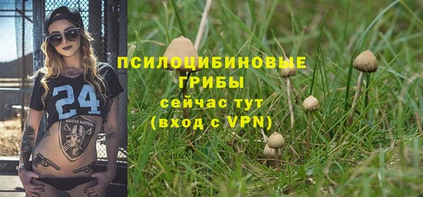 мескалин Верхний Тагил