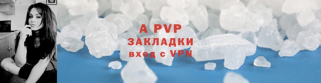 прущие крисы Бородино