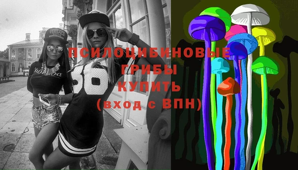 прущие крисы Бородино