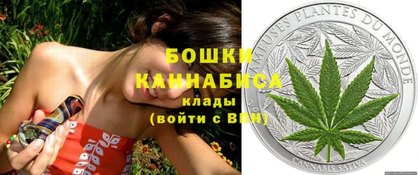 прущие крисы Бородино