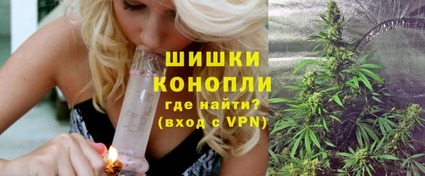 прущие крисы Бородино