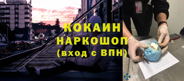 прущие крисы Бородино